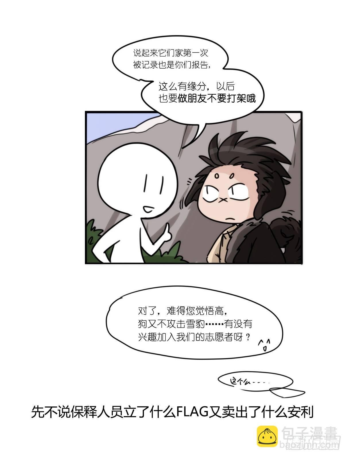 事业篇10：雪豹成为偶像！-4