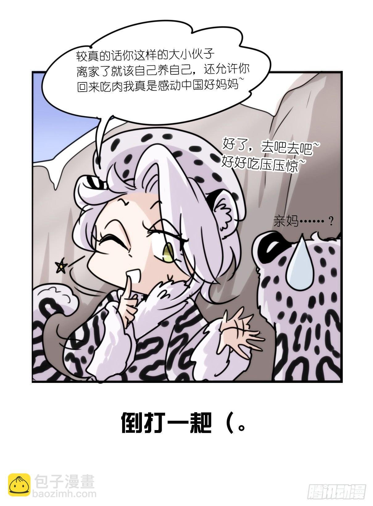 事业篇10：雪豹成为偶像！-4