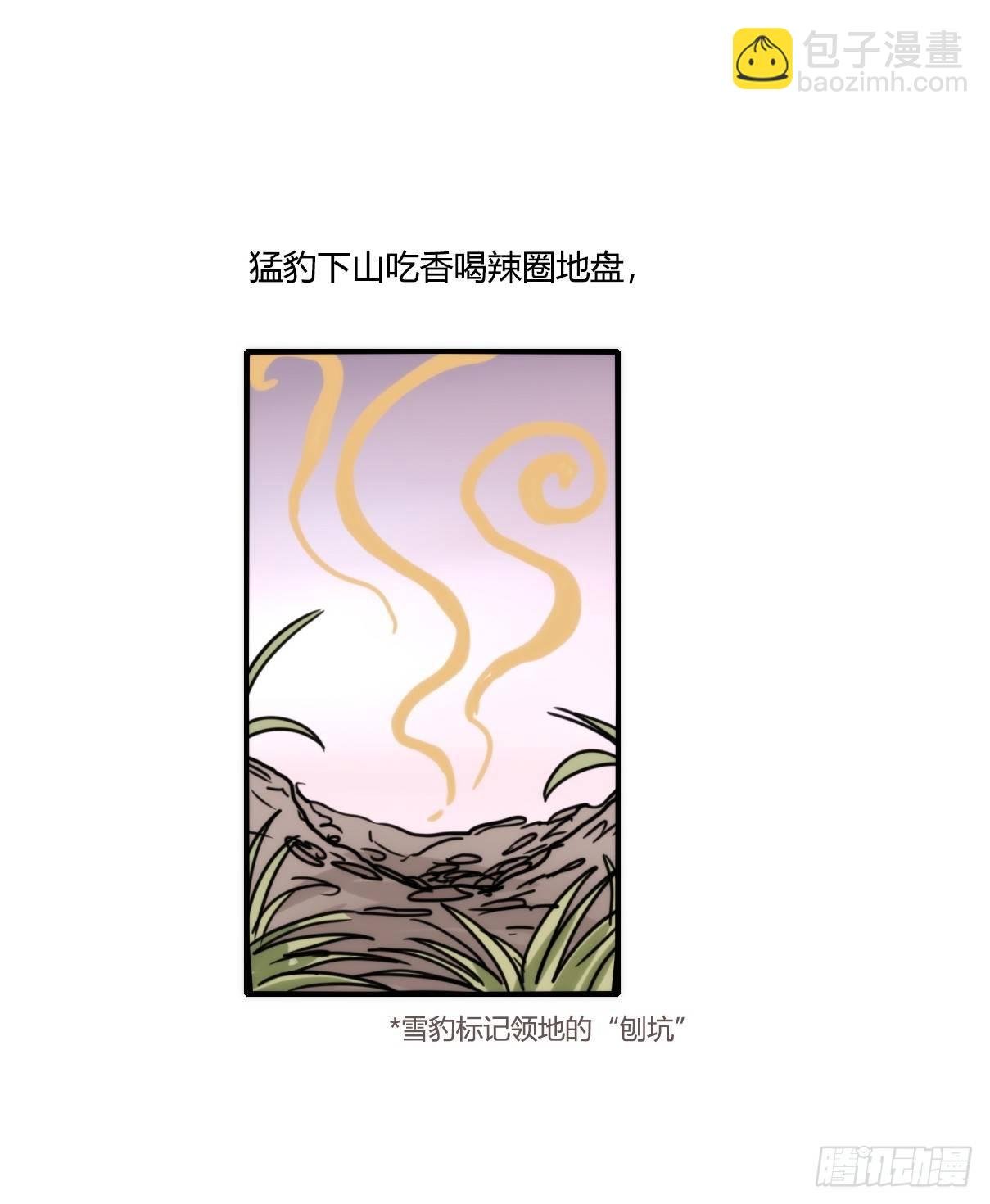事业篇10：雪豹成为偶像！-4