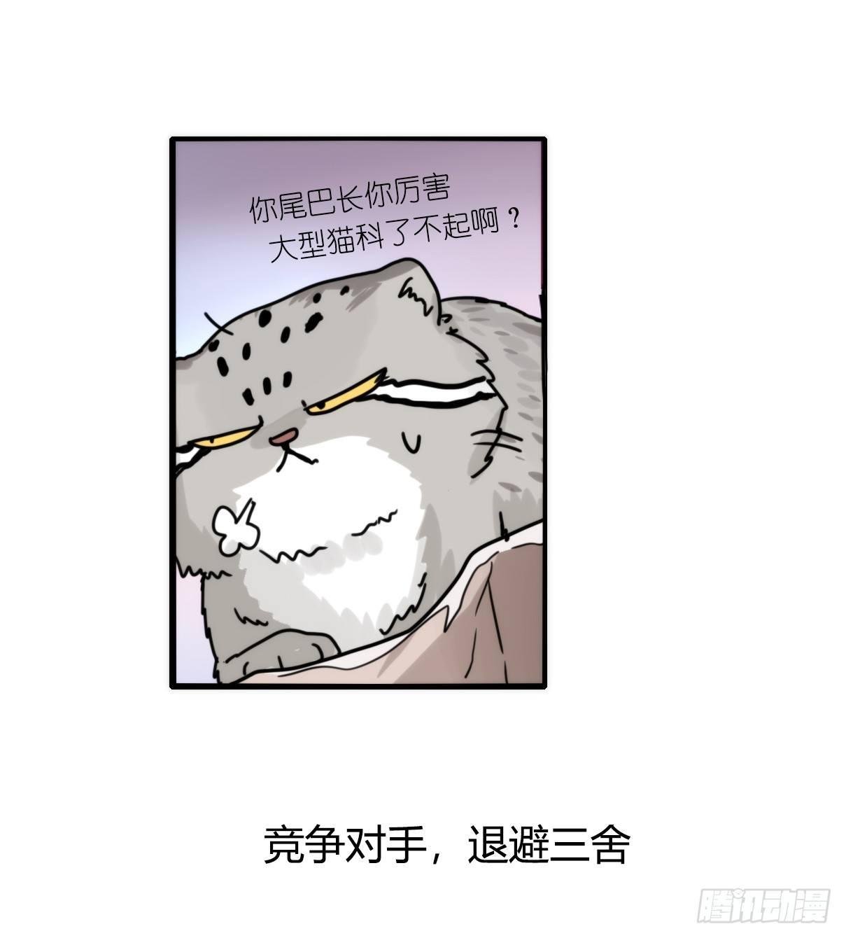 事业篇10：雪豹成为偶像！-4