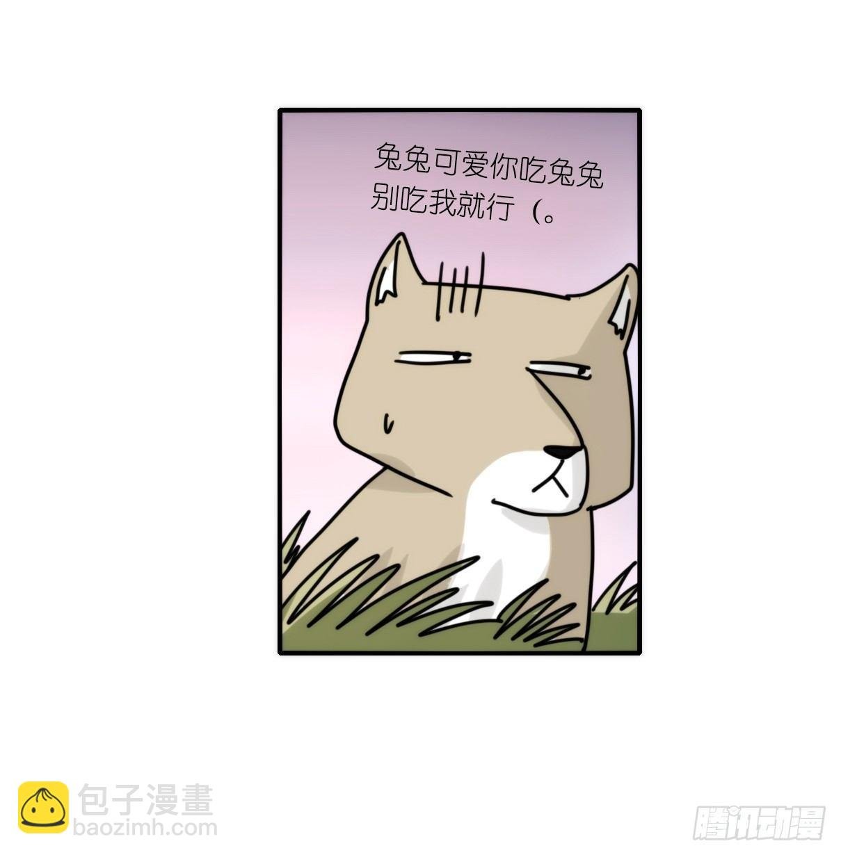 事业篇10：雪豹成为偶像！-4
