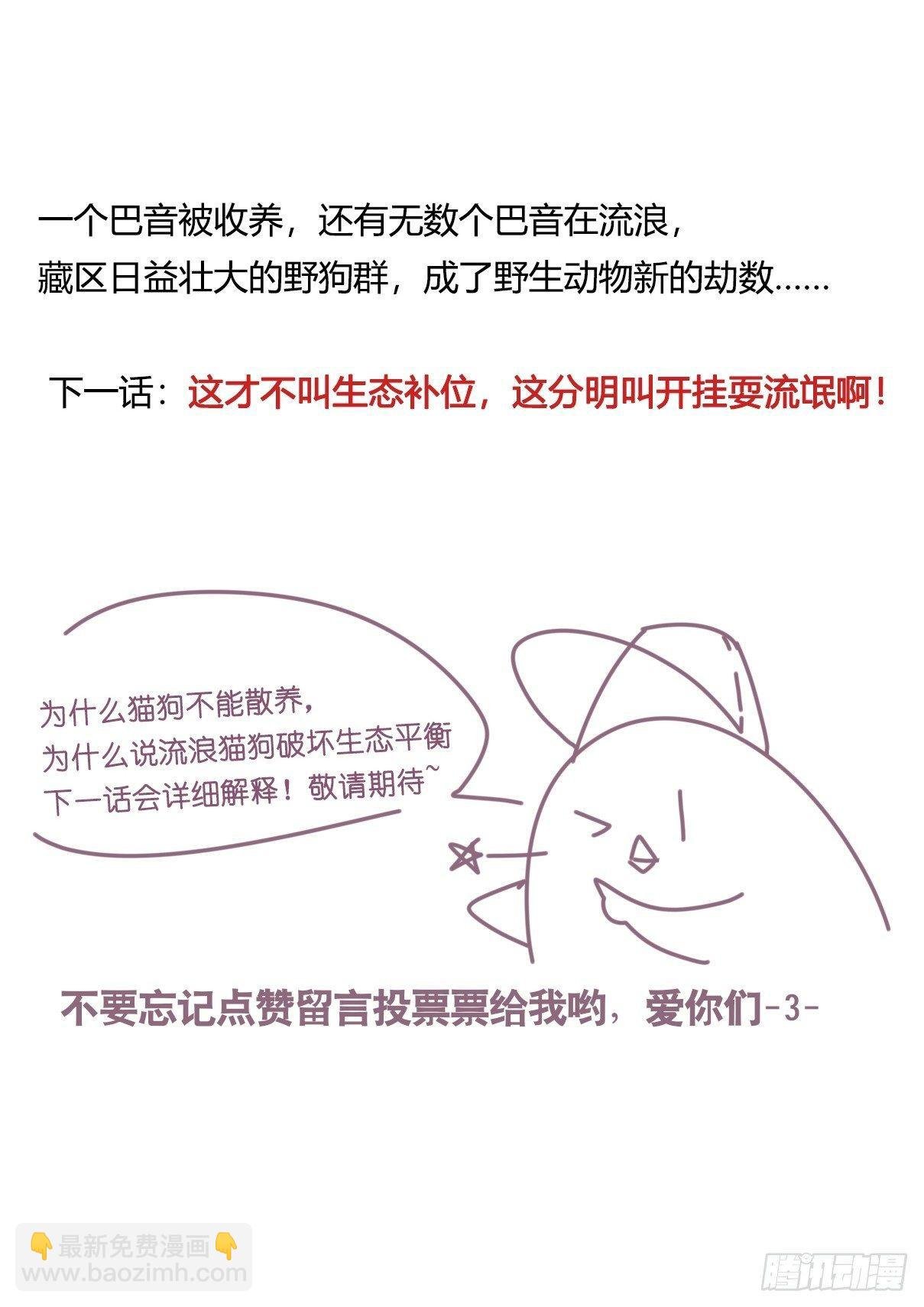 事业篇10：雪豹成为偶像！-4