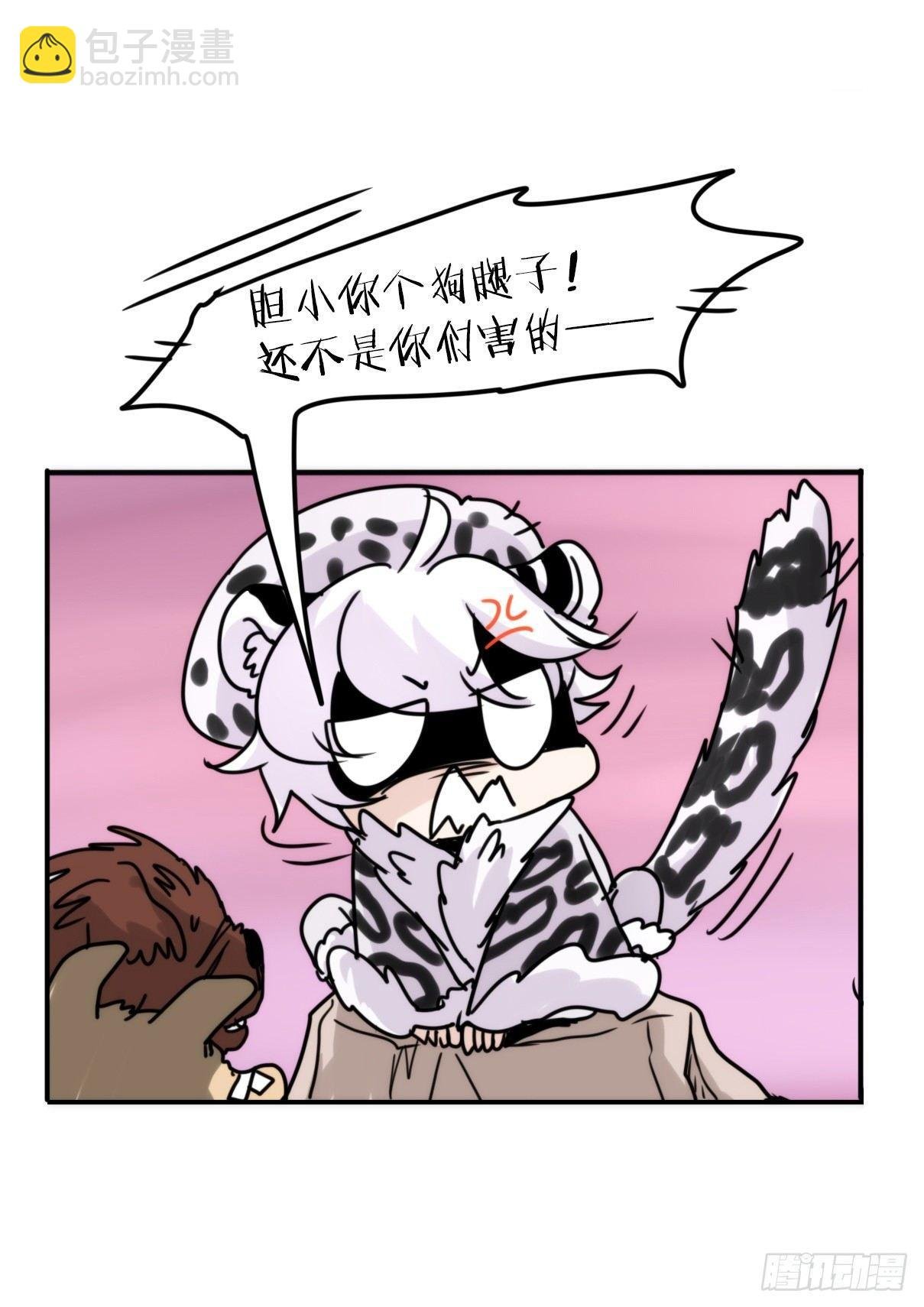 事业篇11：雪豹成为偶像！-5