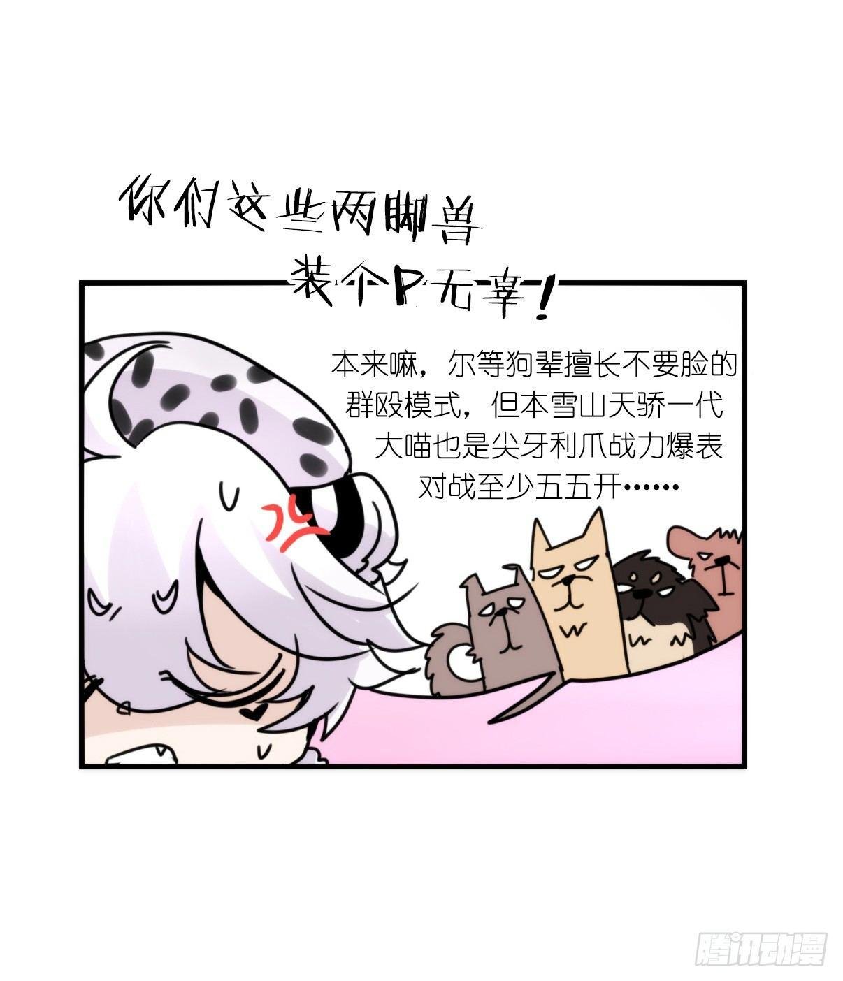 事业篇11：雪豹成为偶像！-5