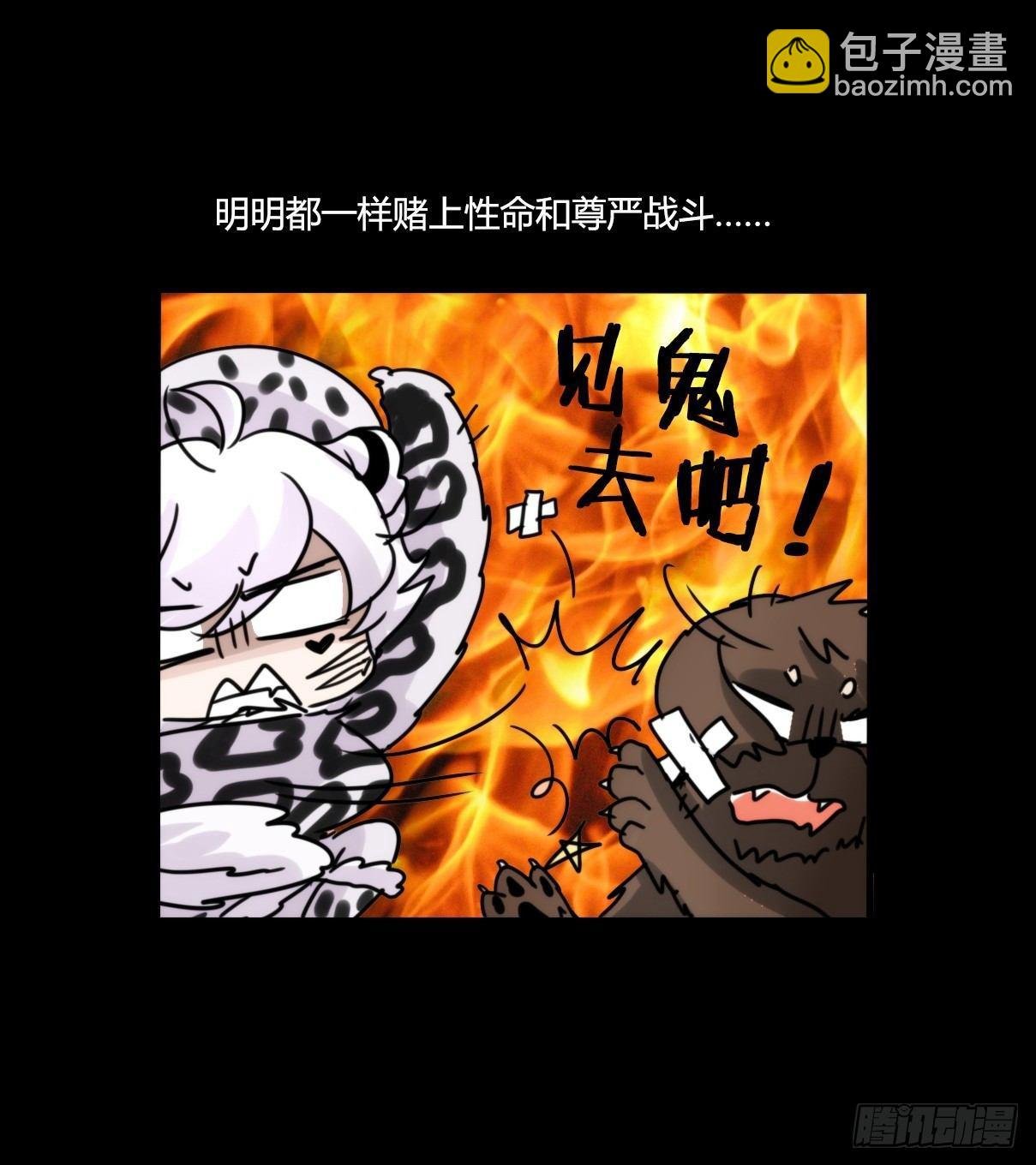 事业篇11：雪豹成为偶像！-5