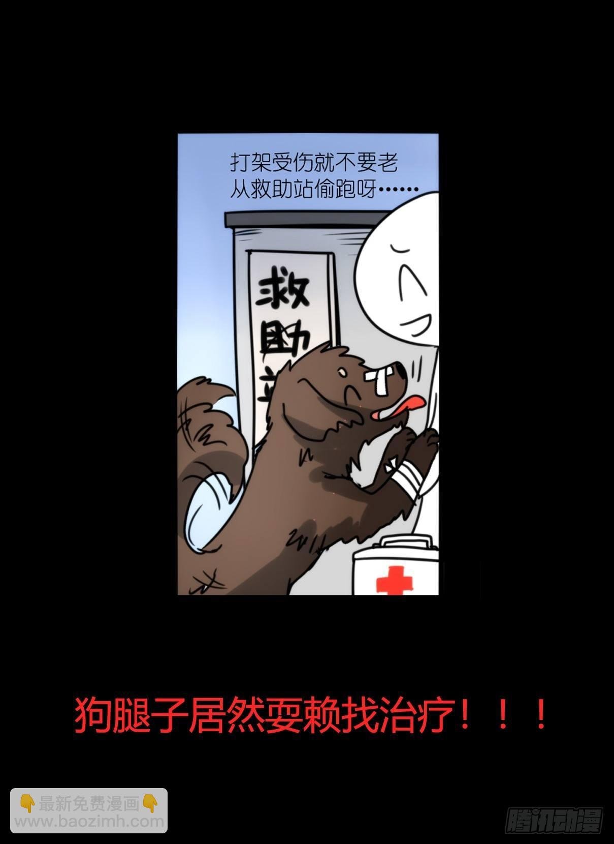 事业篇11：雪豹成为偶像！-5