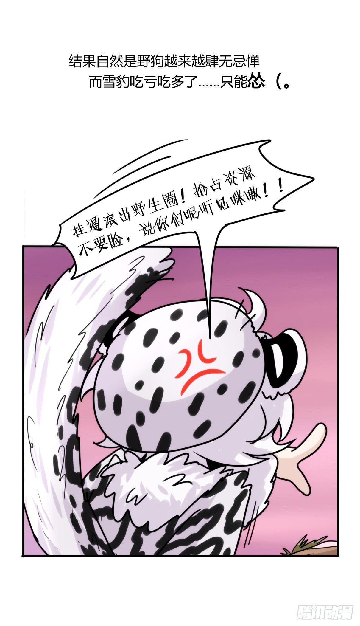 事业篇11：雪豹成为偶像！-5