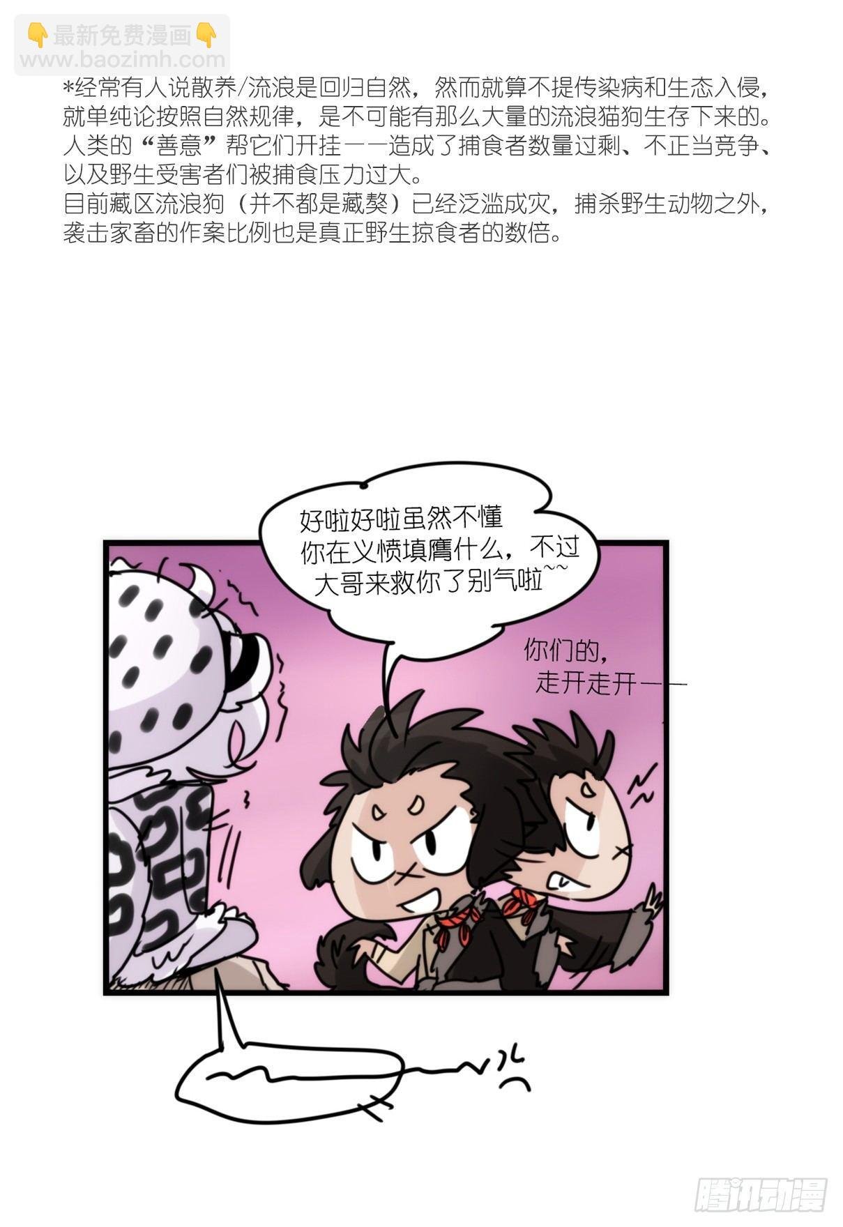 事业篇11：雪豹成为偶像！-5