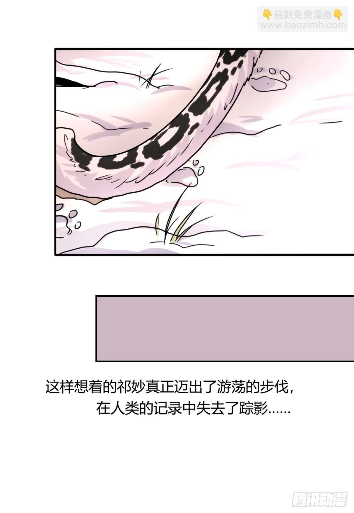 事业篇11：雪豹成为偶像！-5