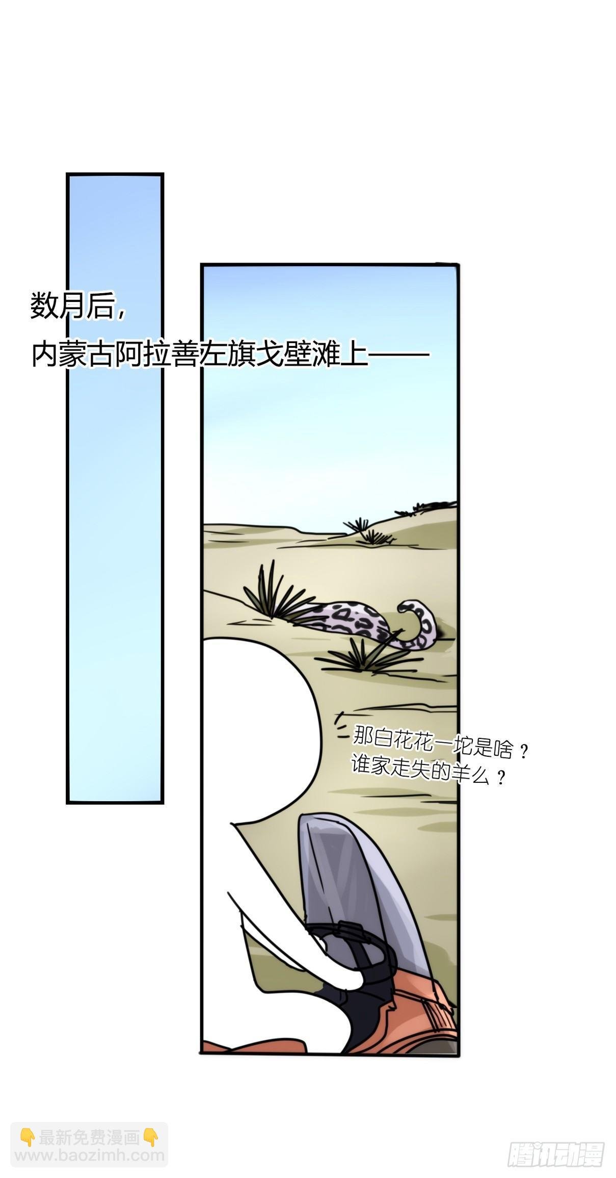事业篇11：雪豹成为偶像！-5