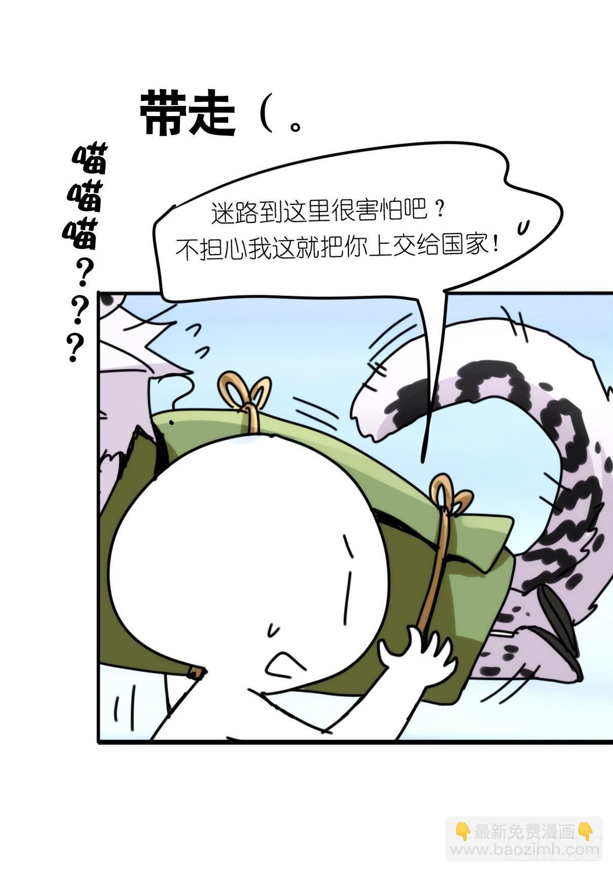 事业篇11：雪豹成为偶像！-5