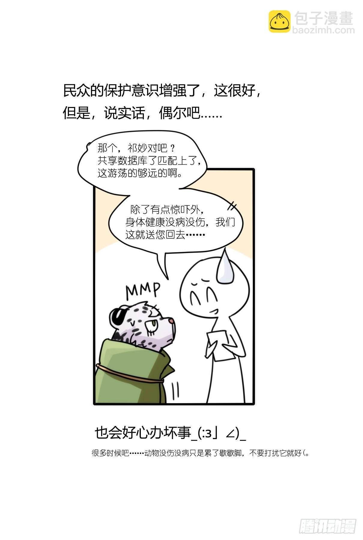 事业篇11：雪豹成为偶像！-5