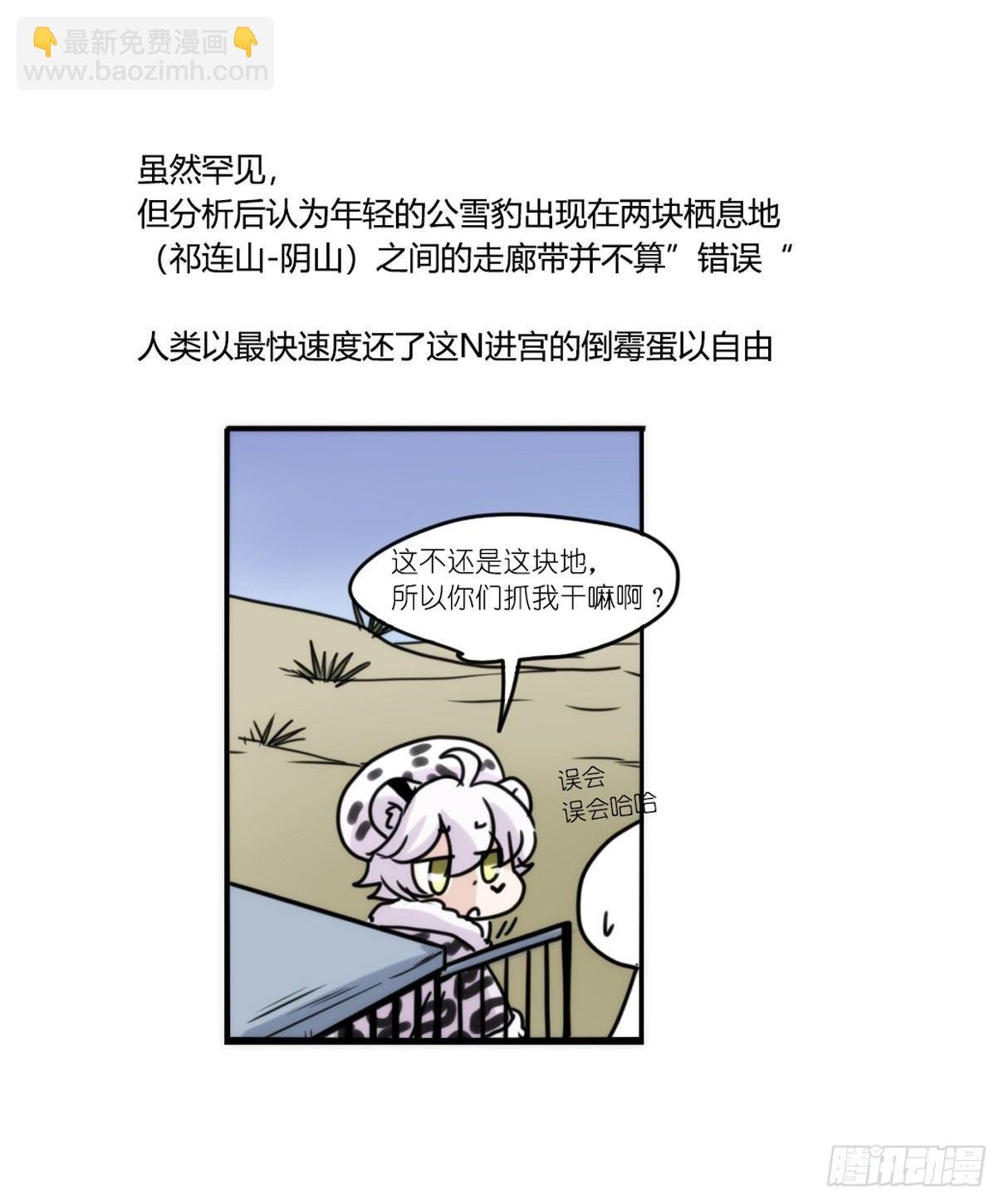 事业篇11：雪豹成为偶像！-5