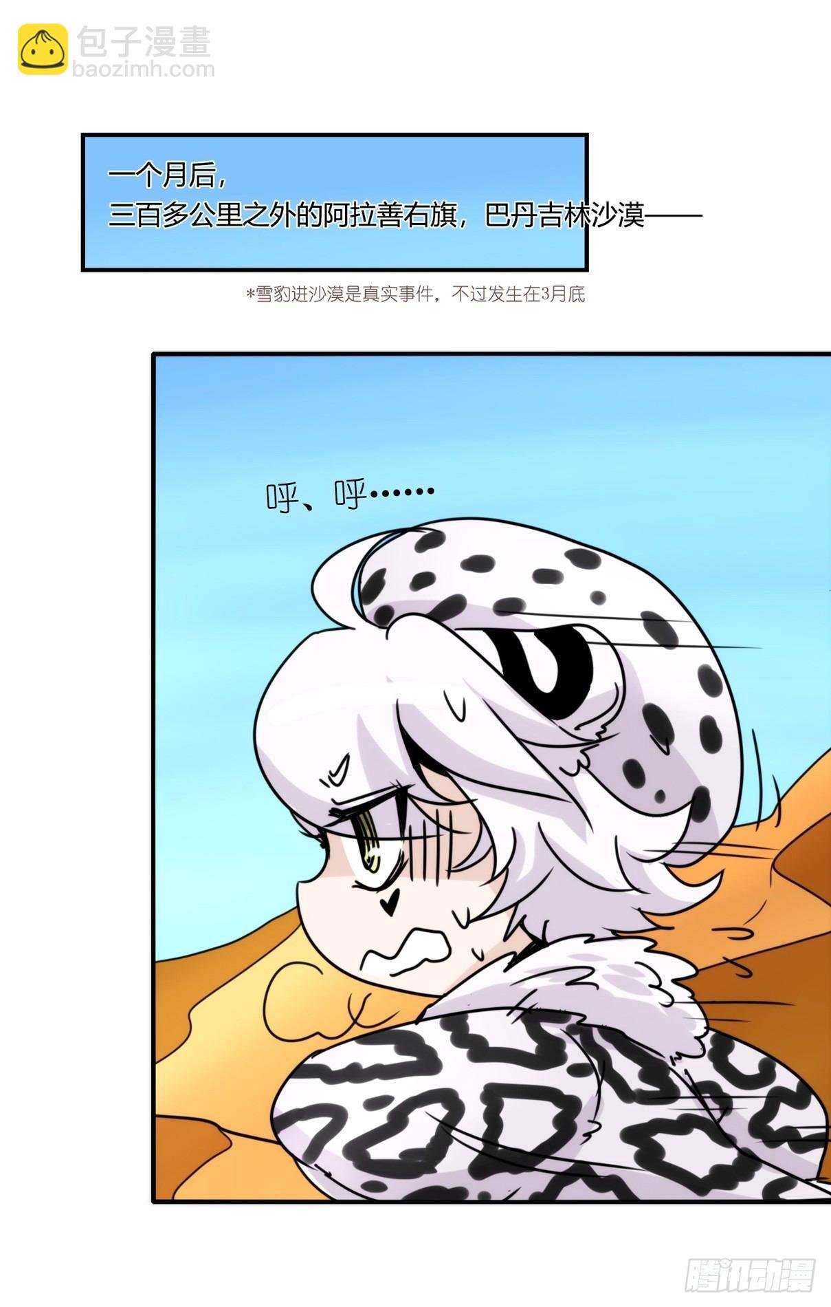事业篇11：雪豹成为偶像！-5