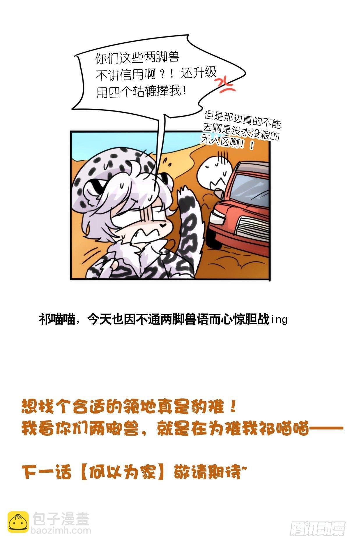 事业篇11：雪豹成为偶像！-5