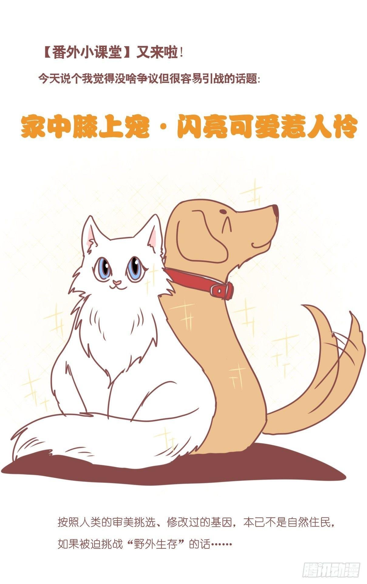 事业篇11：雪豹成为偶像！-5