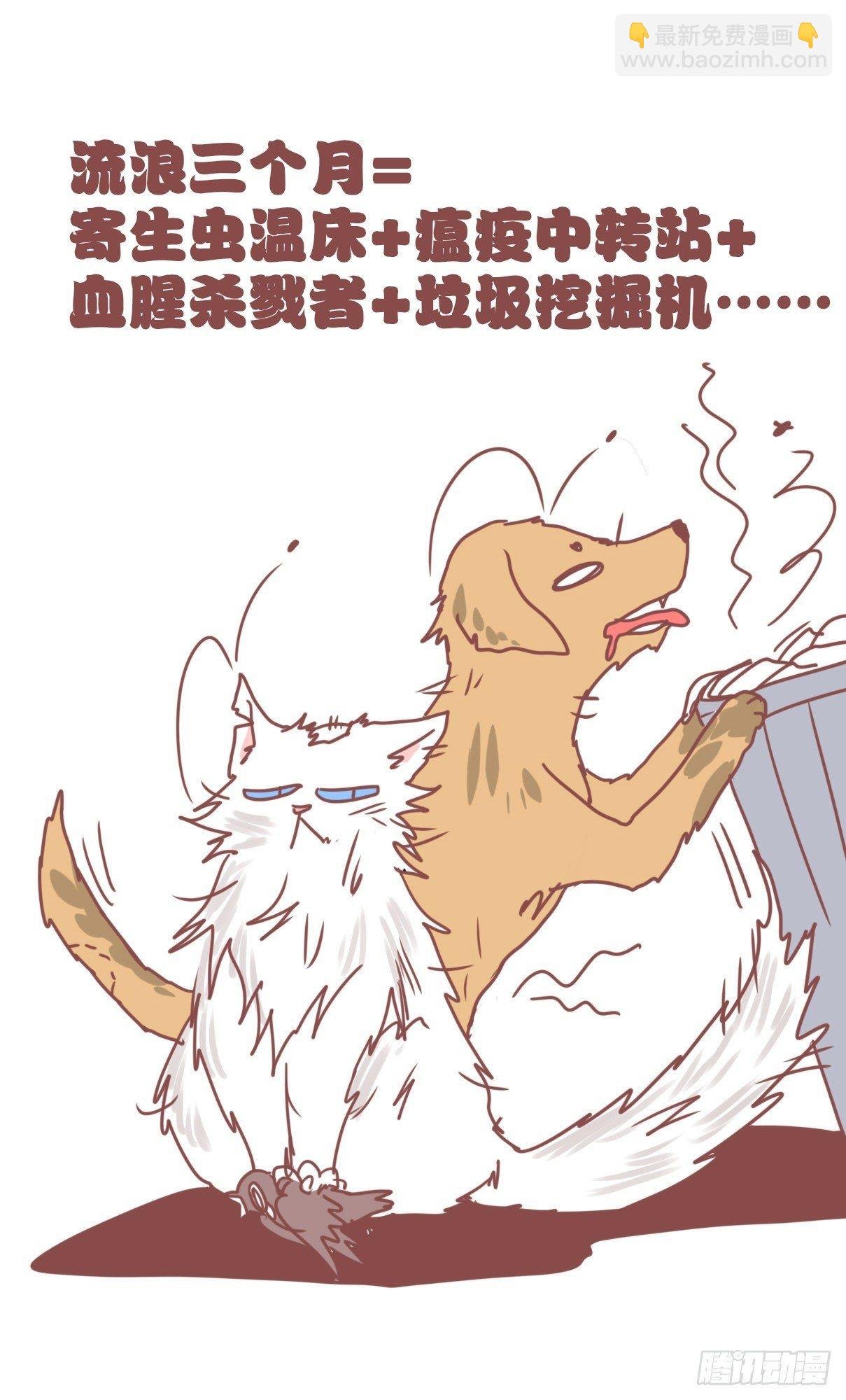 事业篇11：雪豹成为偶像！-5