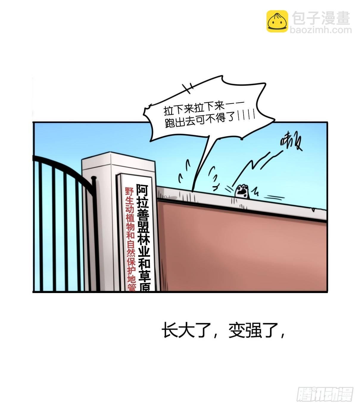 事业篇12：雪豹成为偶像！06