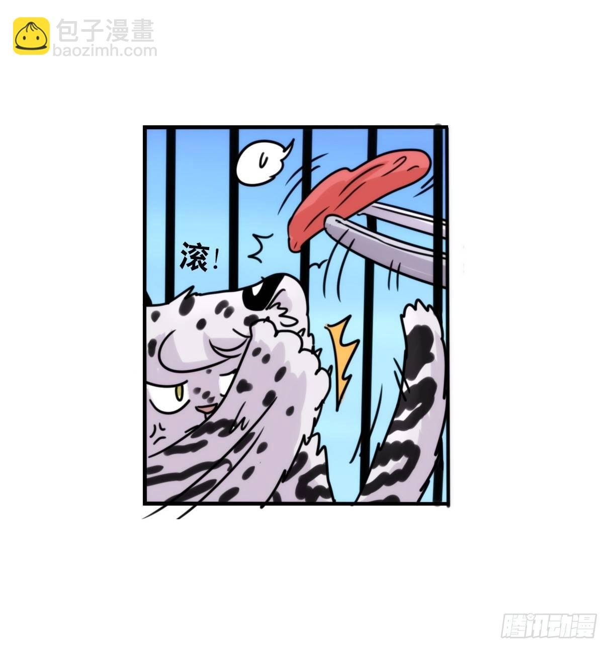 事业篇12：雪豹成为偶像！06