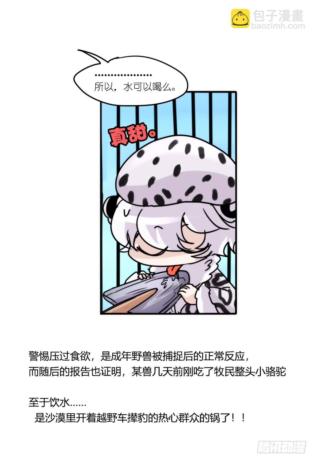 事业篇12：雪豹成为偶像！06