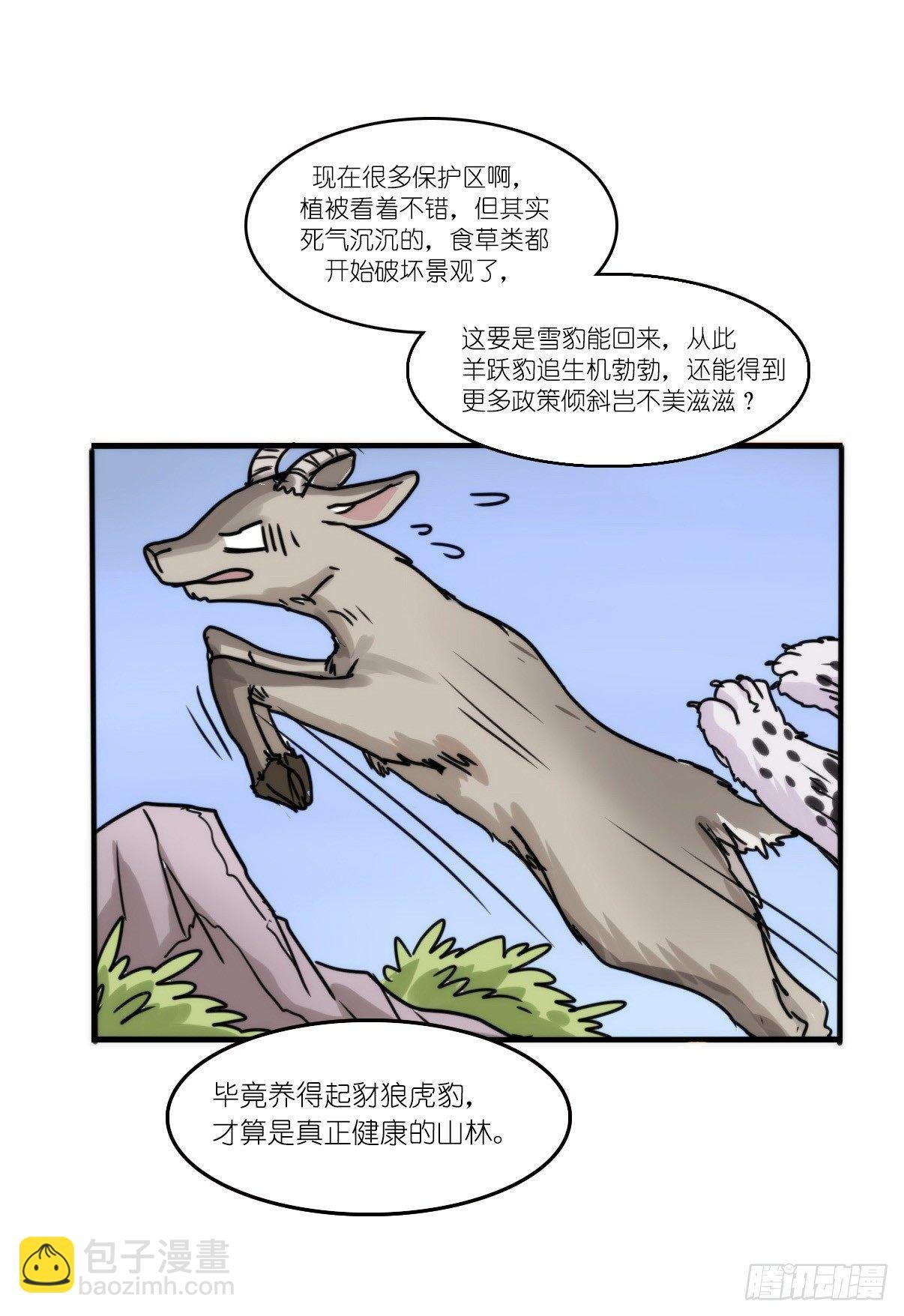 事业篇12：雪豹成为偶像！06