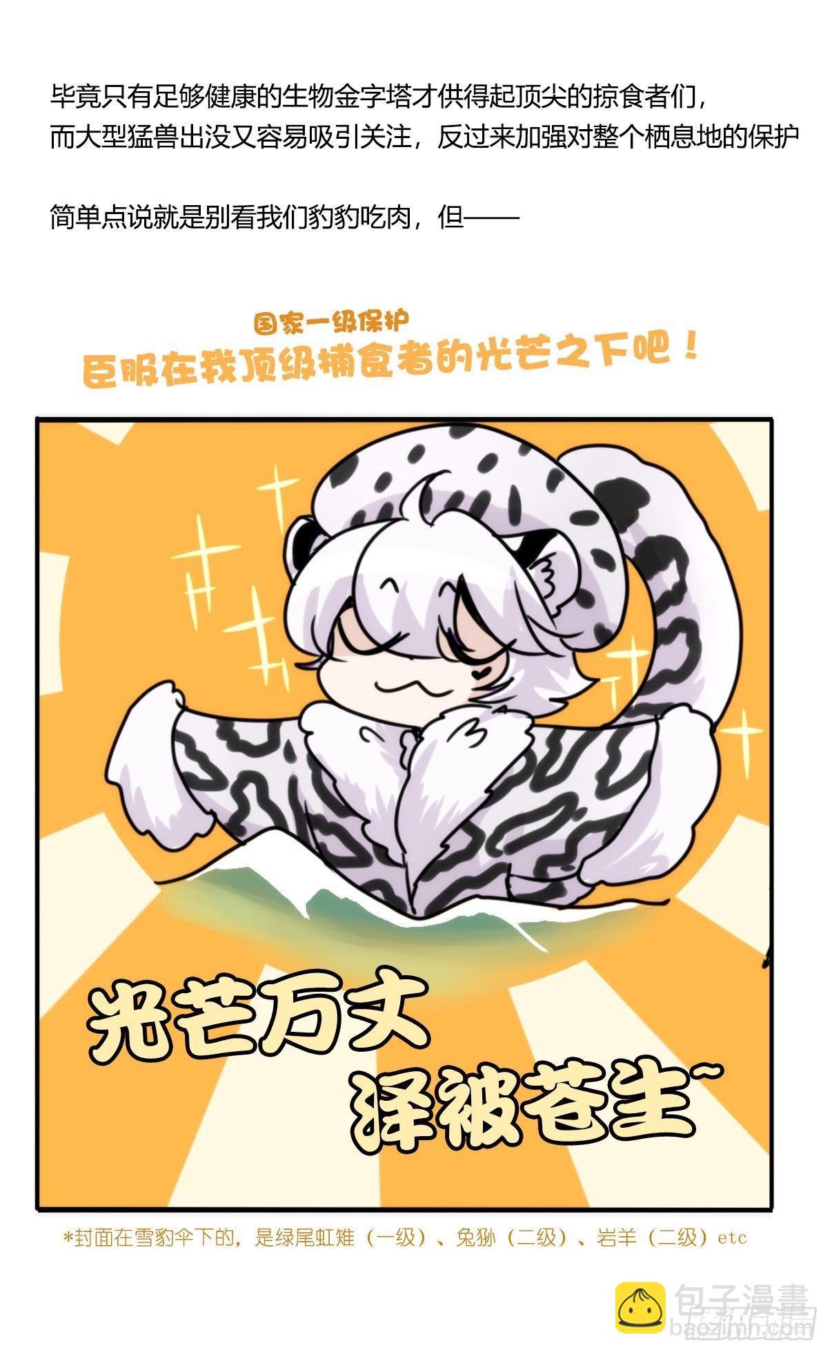 事业篇12：雪豹成为偶像！06