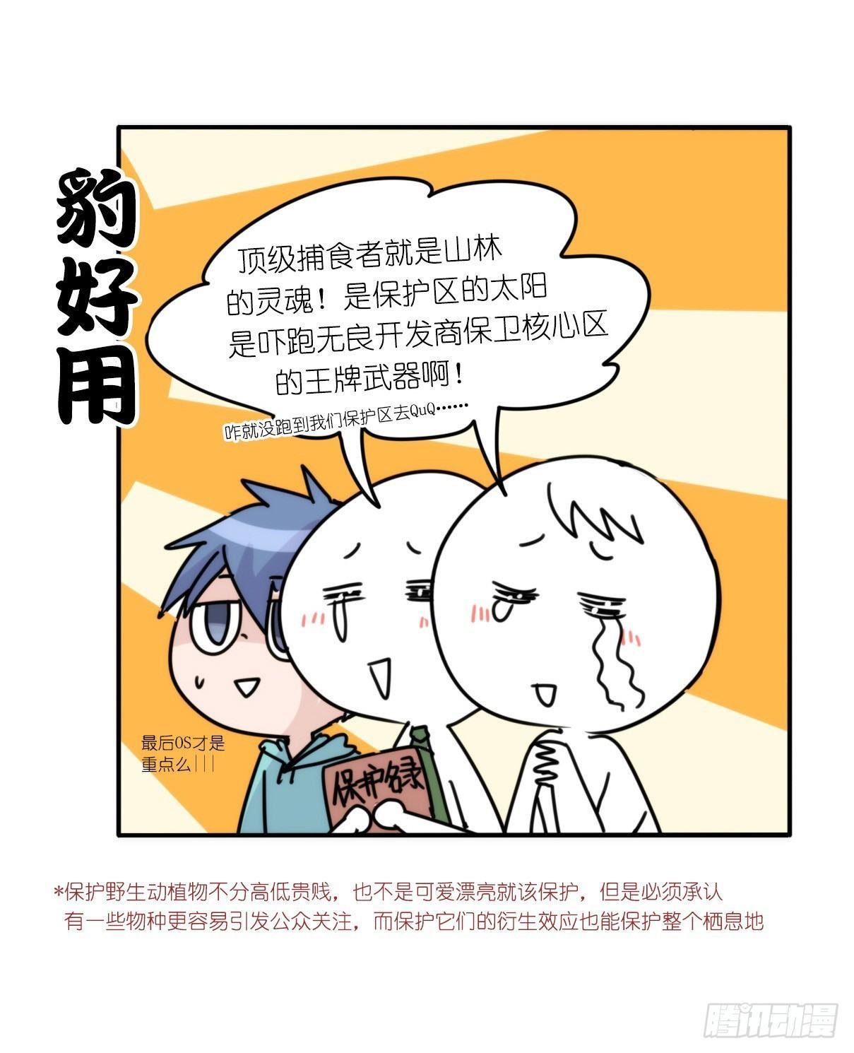 事业篇12：雪豹成为偶像！06