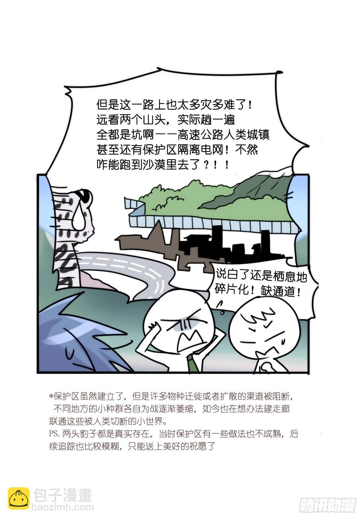 事业篇12：雪豹成为偶像！06