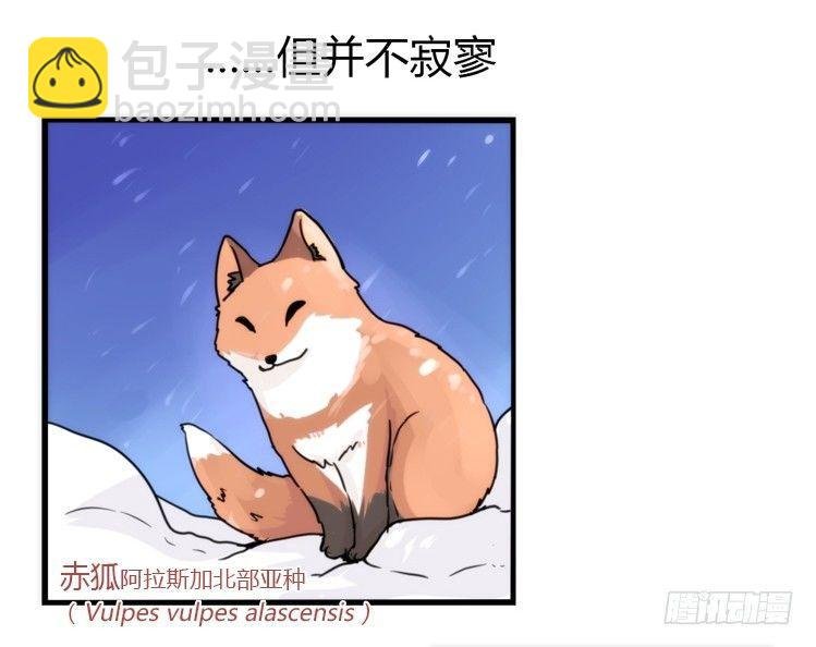 飞吧小少爷：笑一个吧小少爷