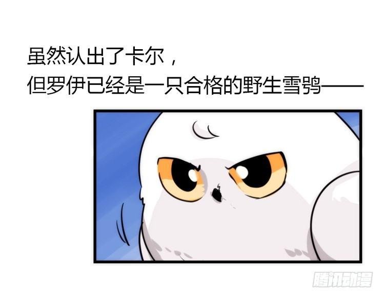 飞吧小少爷：笑一个吧小少爷