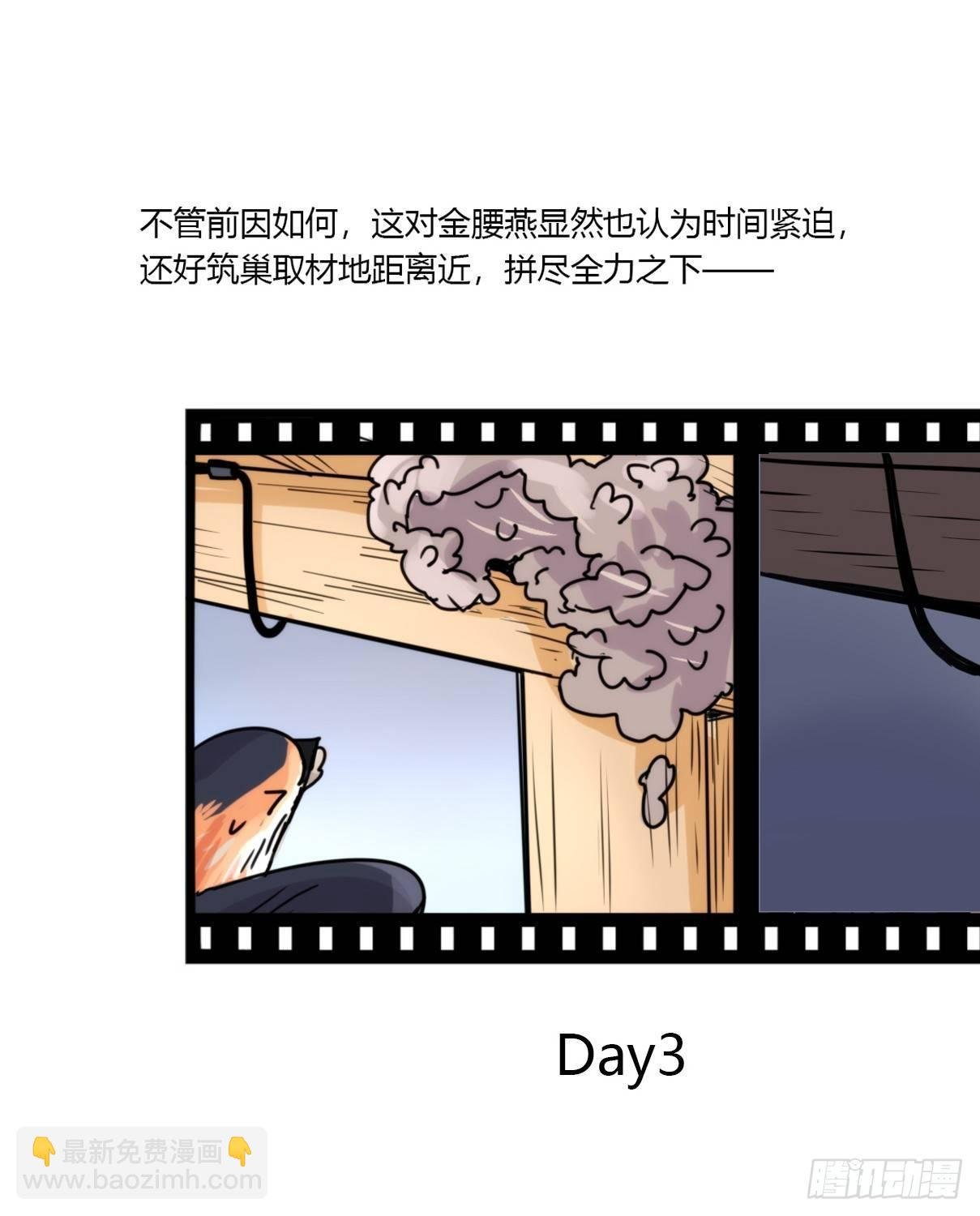 事业篇14：微型保卫战·中