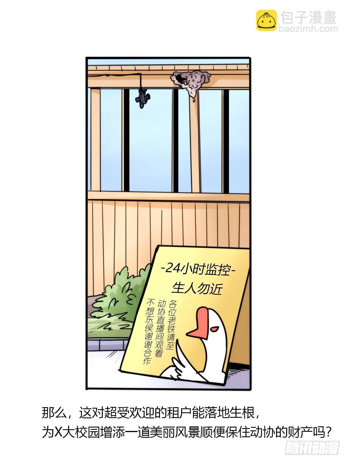 事业篇14：微型保卫战·中