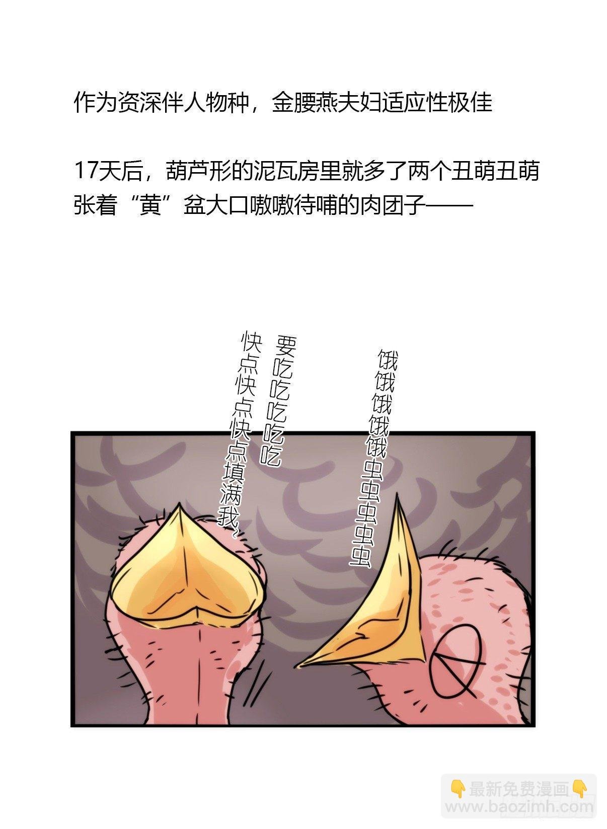 事业篇14：微型保卫战·中