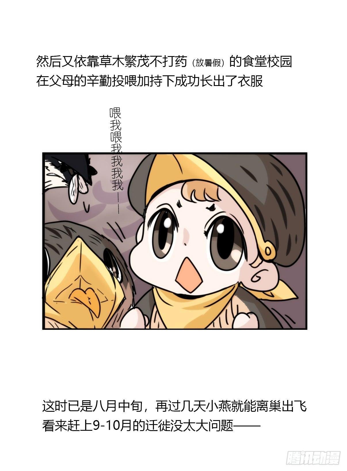 事业篇14：微型保卫战·中