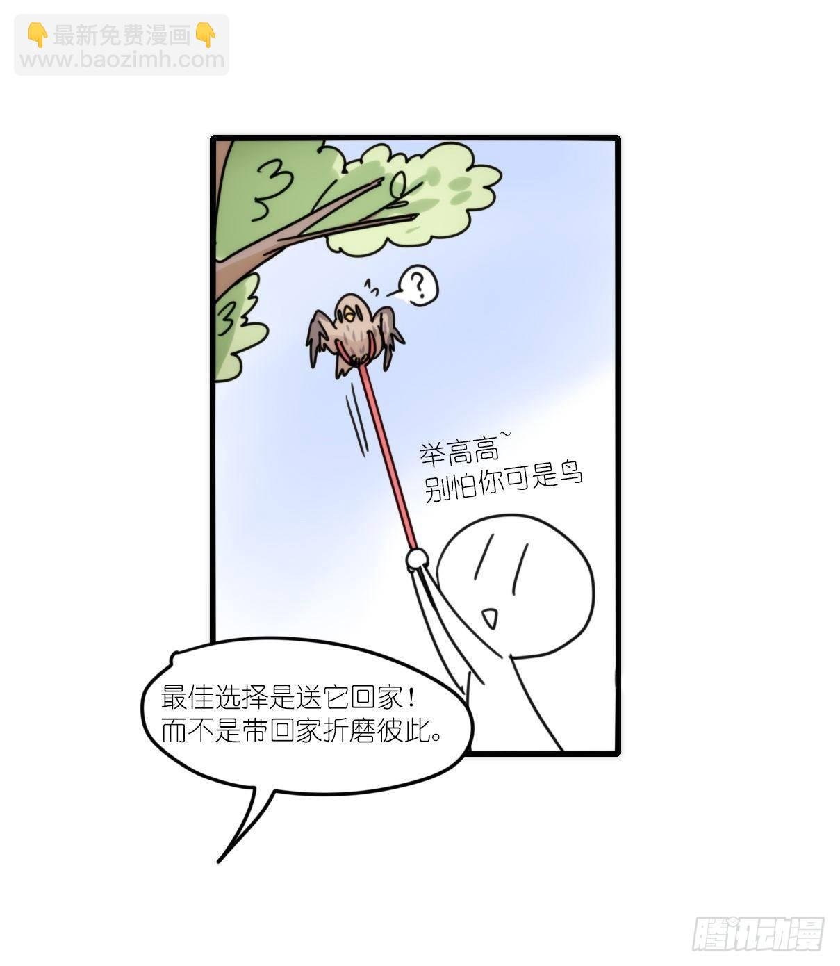 事业篇15：微型保卫战·下