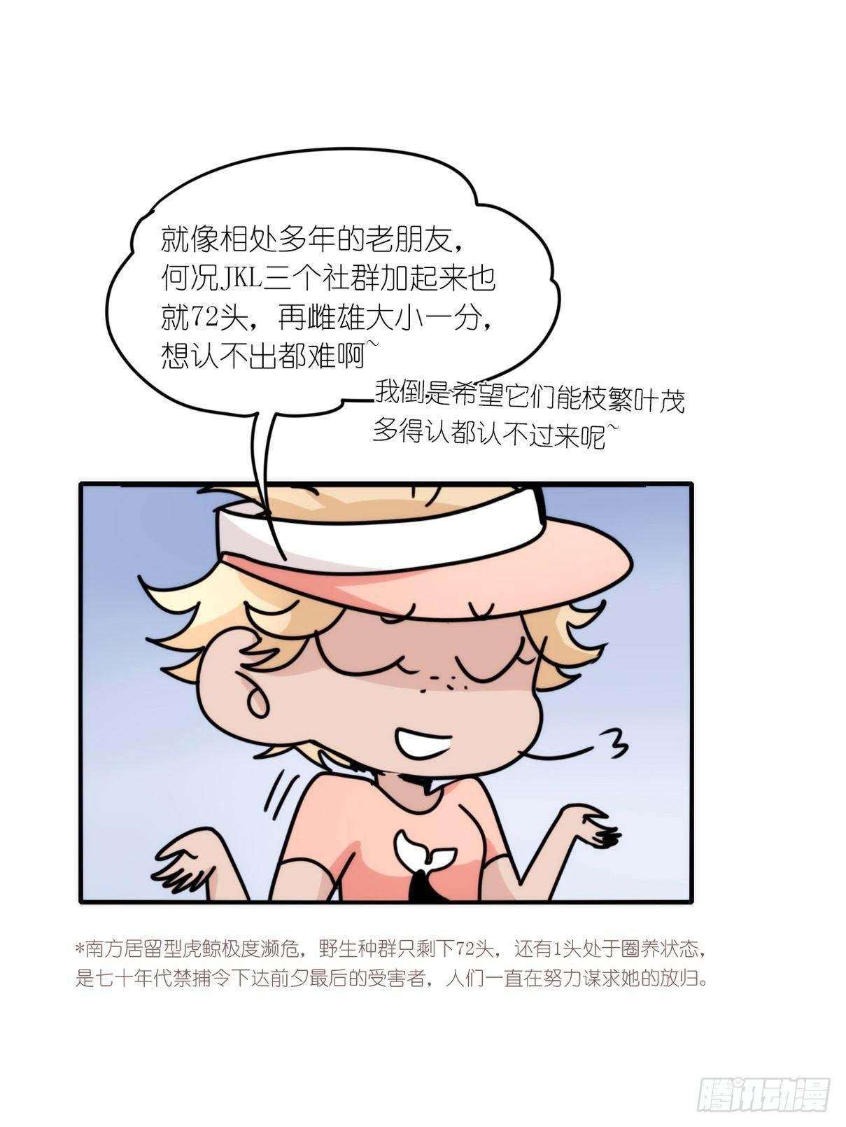 虎鲸篇：这些杀手不太冷01