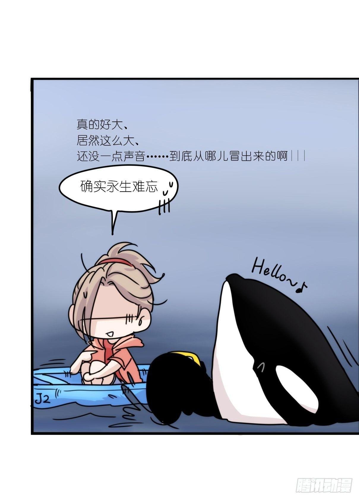 虎鲸篇：这些杀手不太冷01