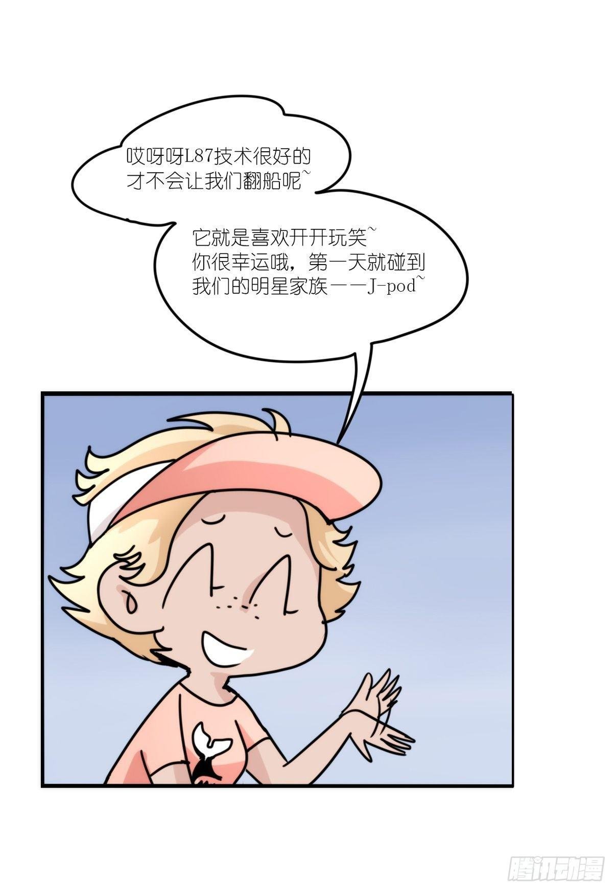 虎鲸篇：这些杀手不太冷01