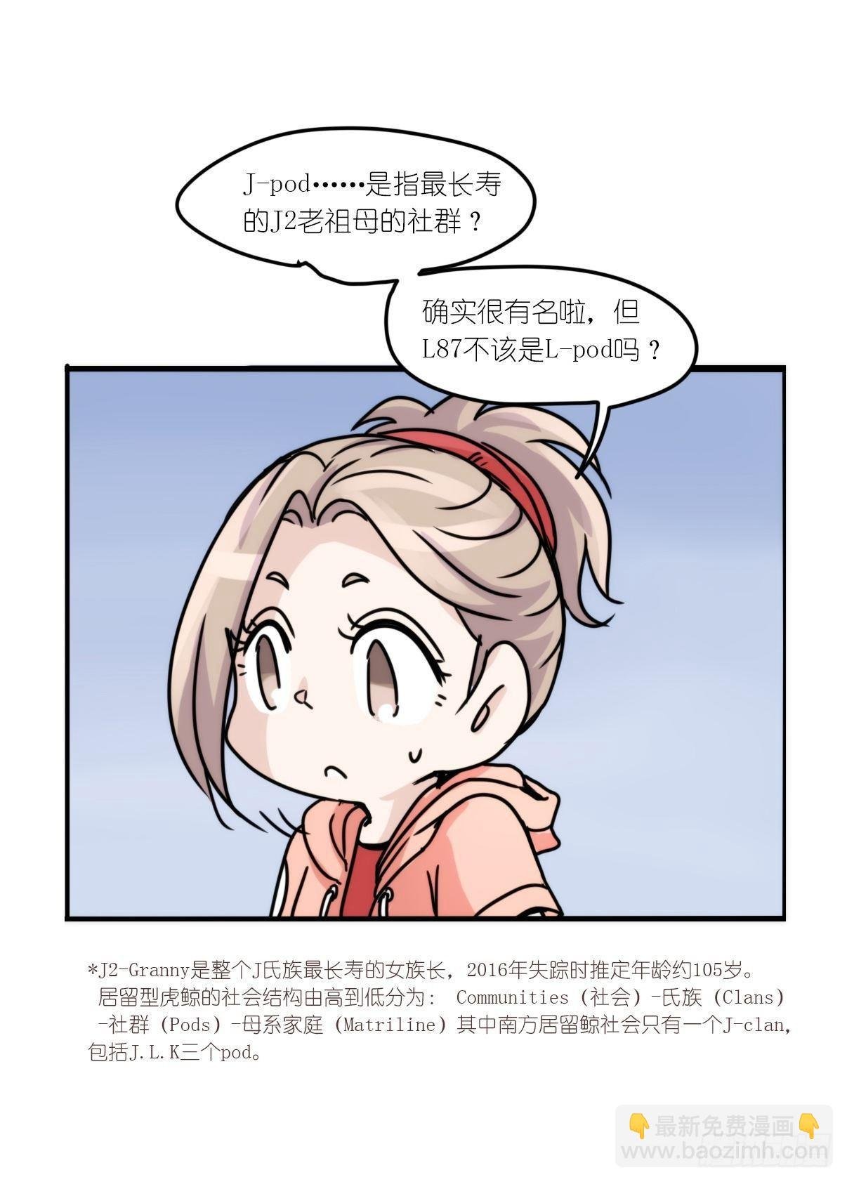 虎鲸篇：这些杀手不太冷01