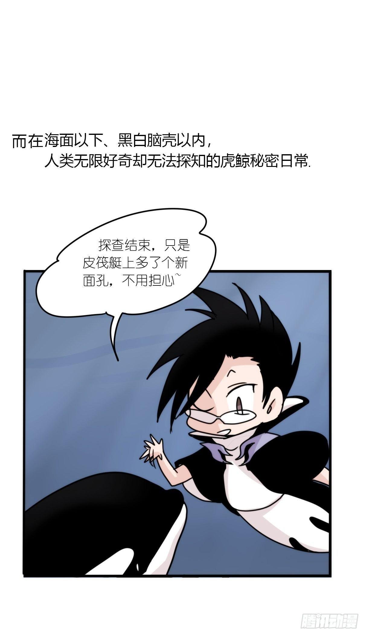 虎鲸篇：这些杀手不太冷01