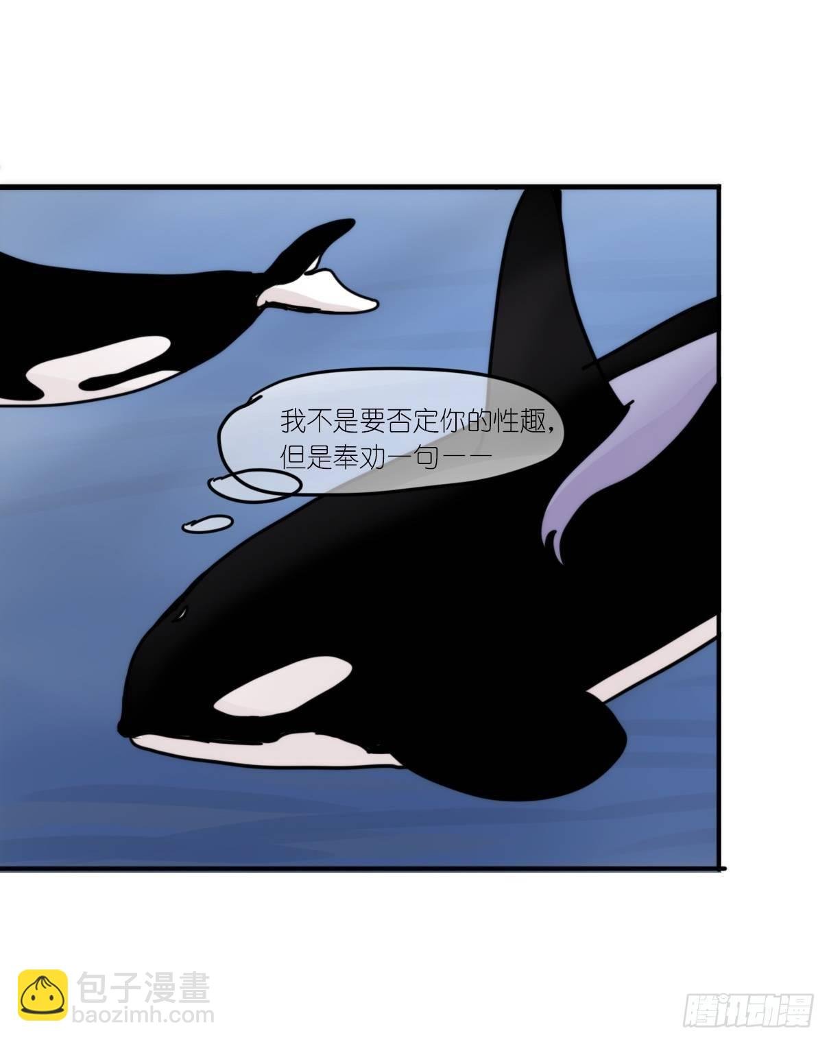 虎鲸篇：这些杀手不太冷01