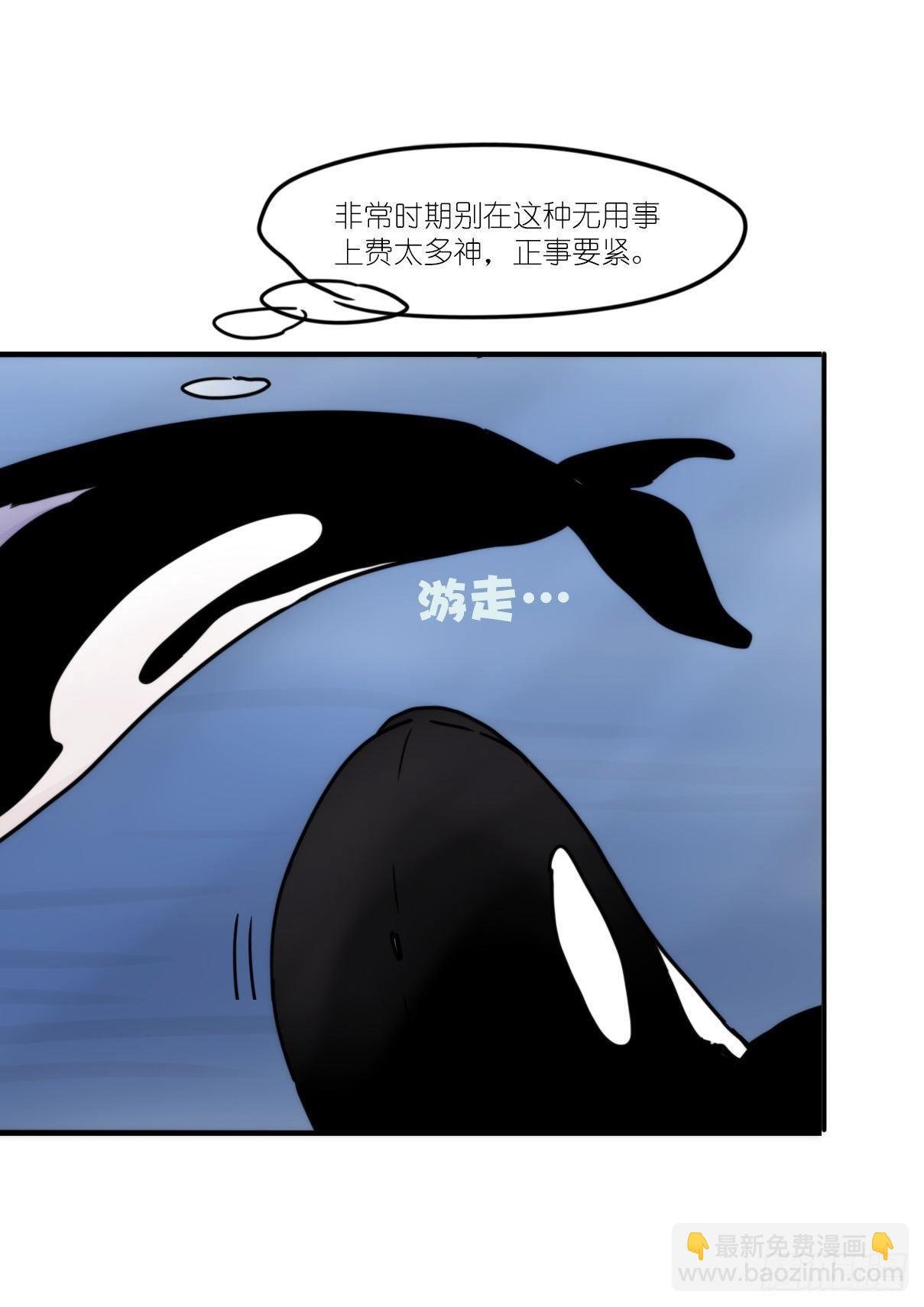 虎鲸篇：这些杀手不太冷01