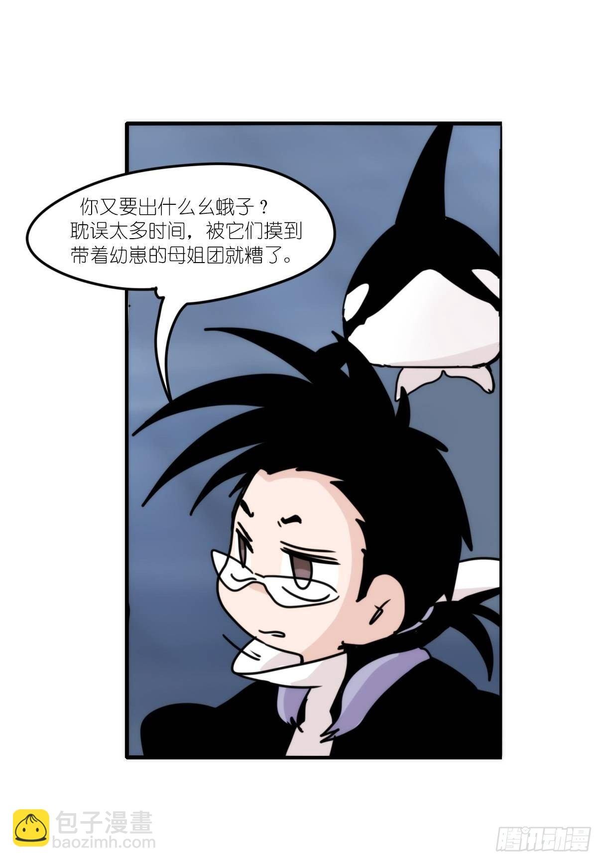 虎鲸篇：这些杀手不太冷01