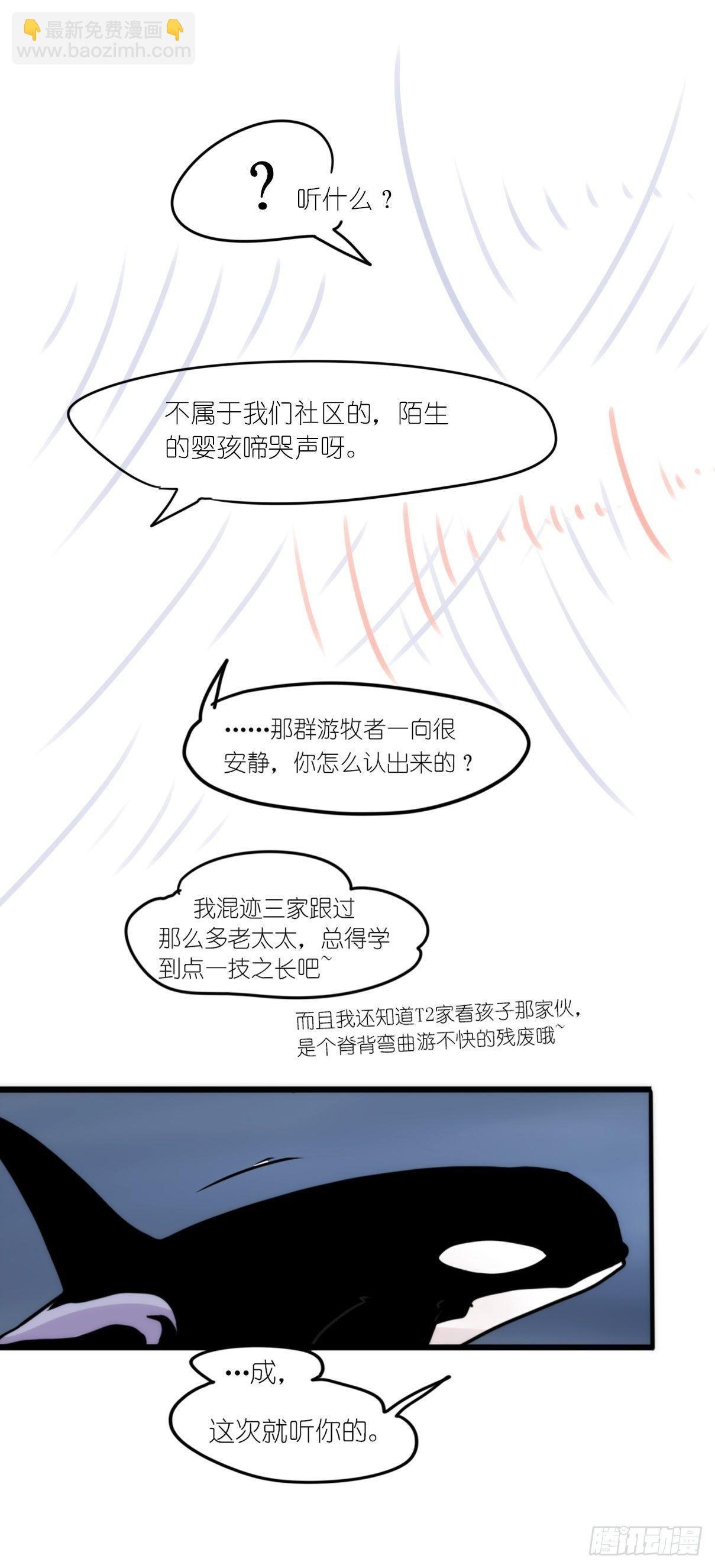 虎鲸篇：这些杀手不太冷01