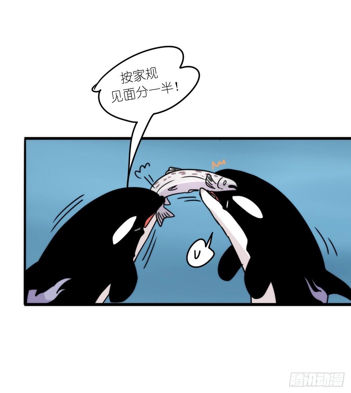 虎鲸篇：这些杀手不太冷02
