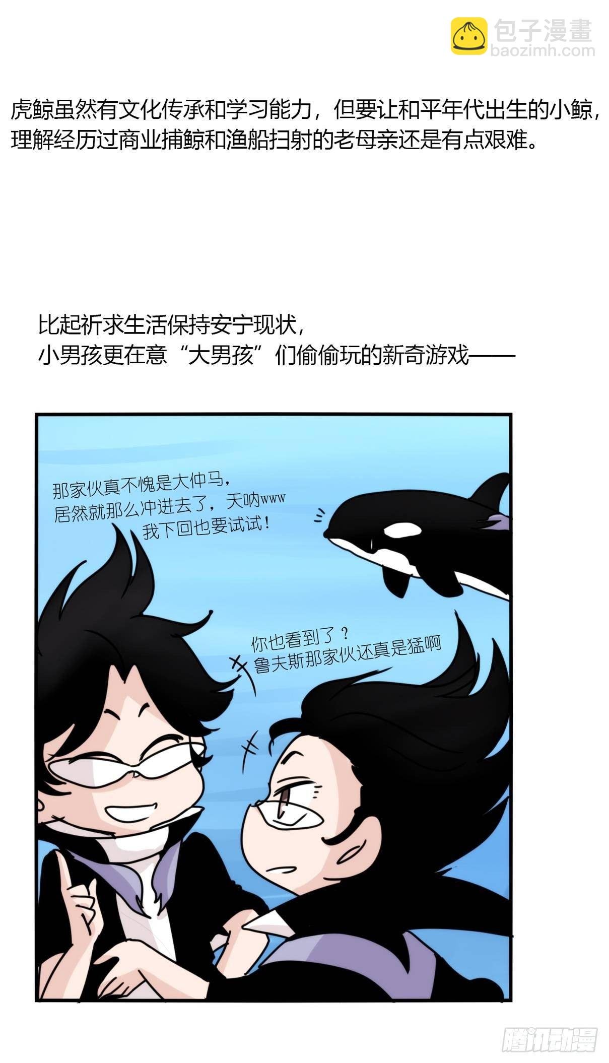 虎鲸篇：这些杀手不太冷02