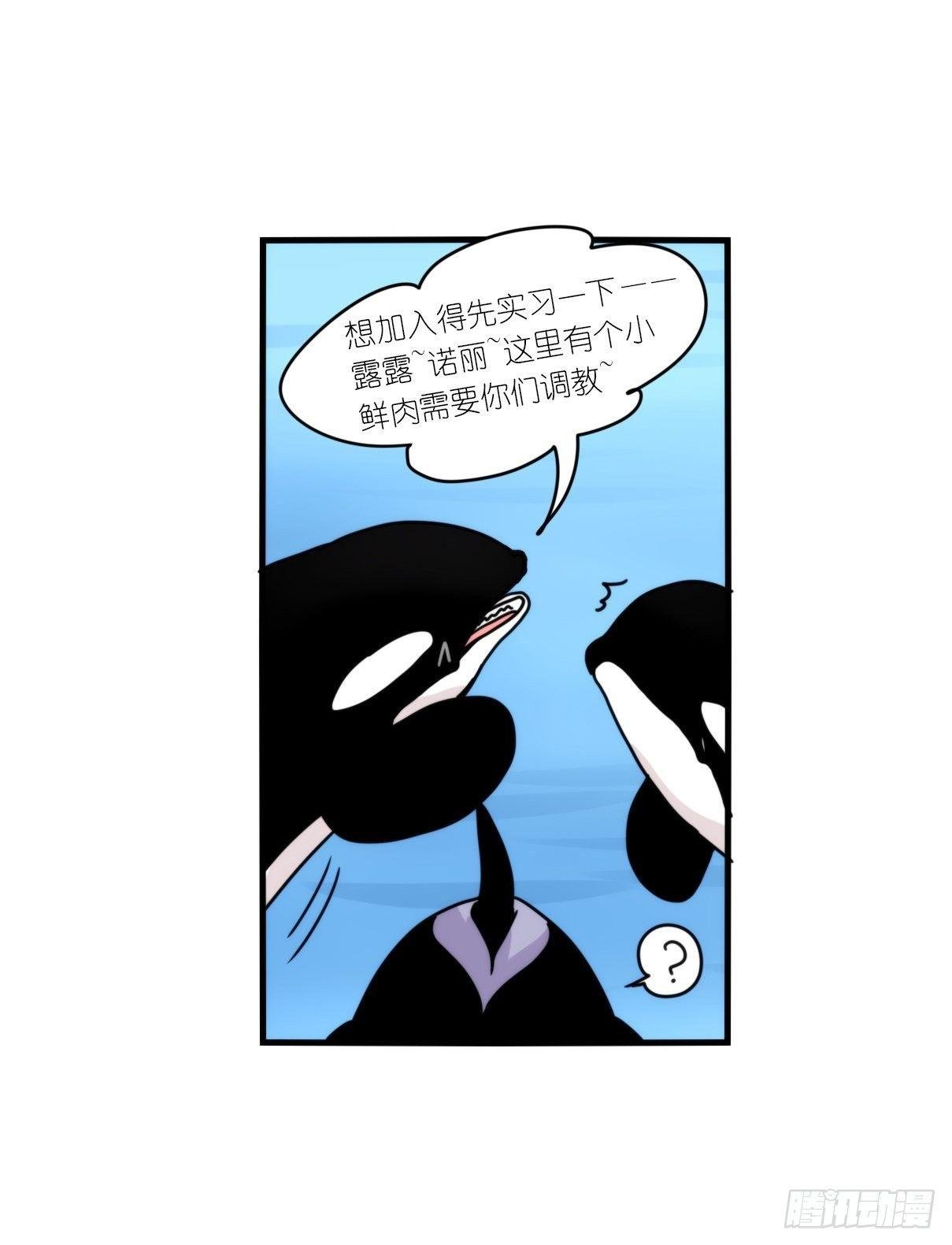 虎鲸篇：这些杀手不太冷02