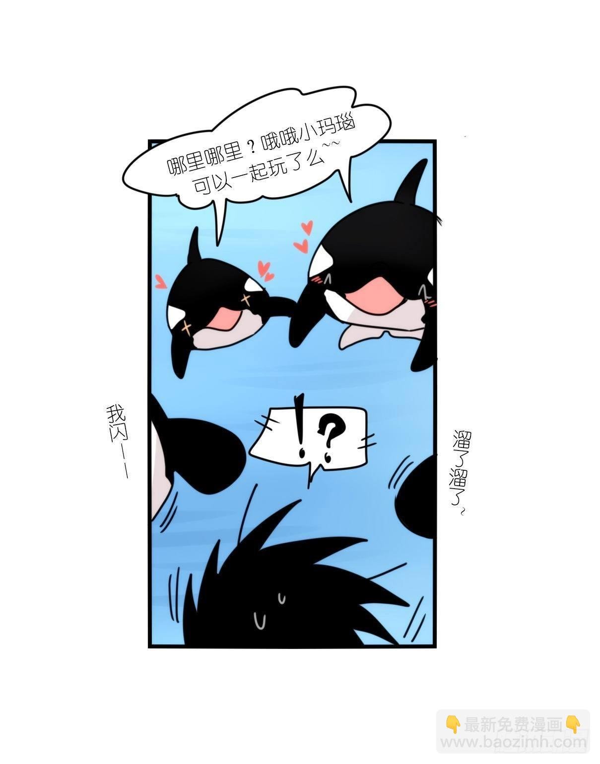 虎鲸篇：这些杀手不太冷02