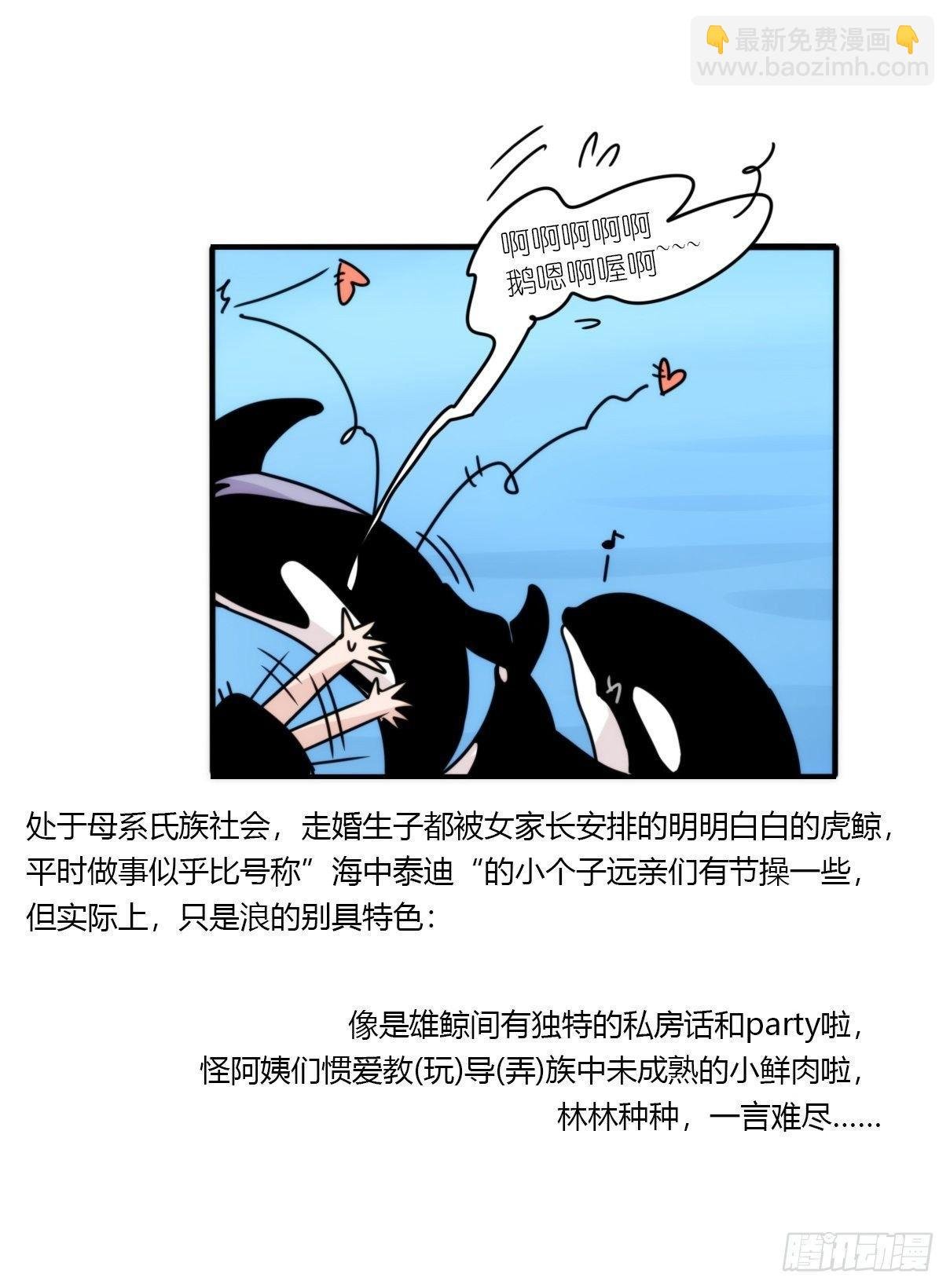 虎鲸篇：这些杀手不太冷02