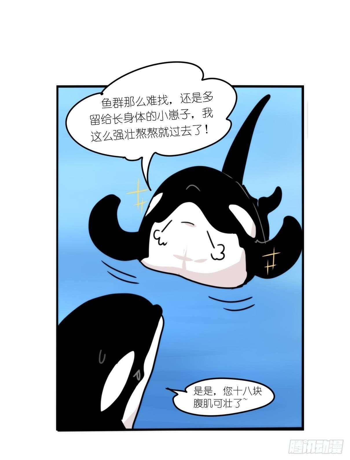 虎鲸篇：这些杀手不太冷02